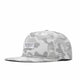 Snow Camo