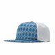 Blue Argyle